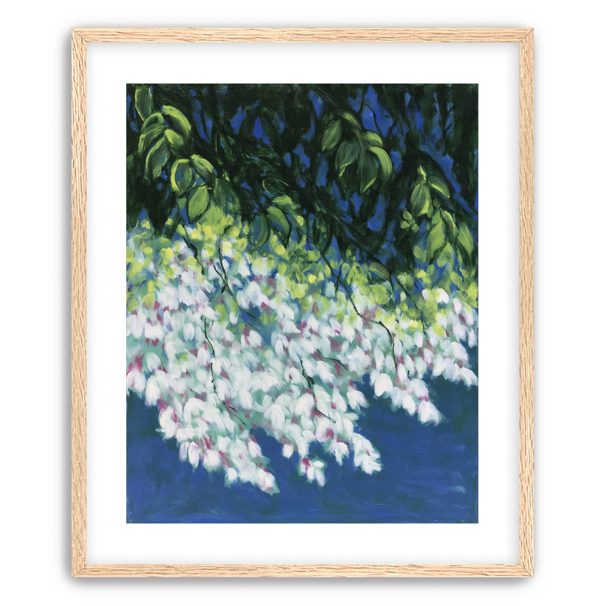 White blossoms in blue shade