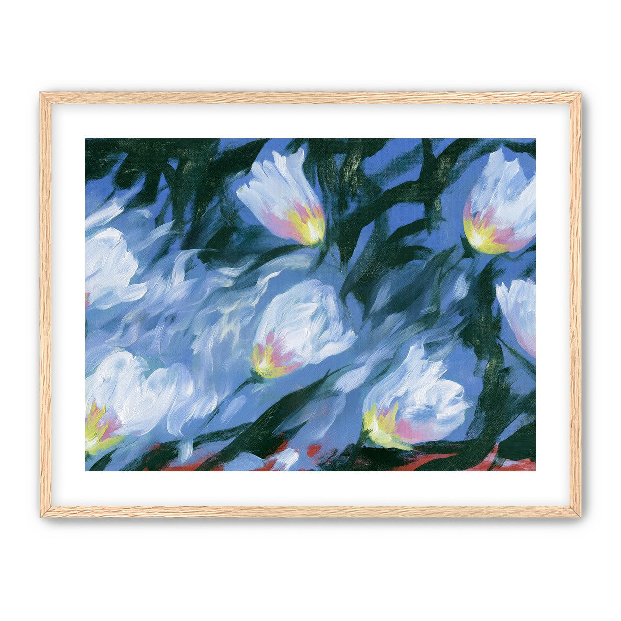 White tulips on blue ground
