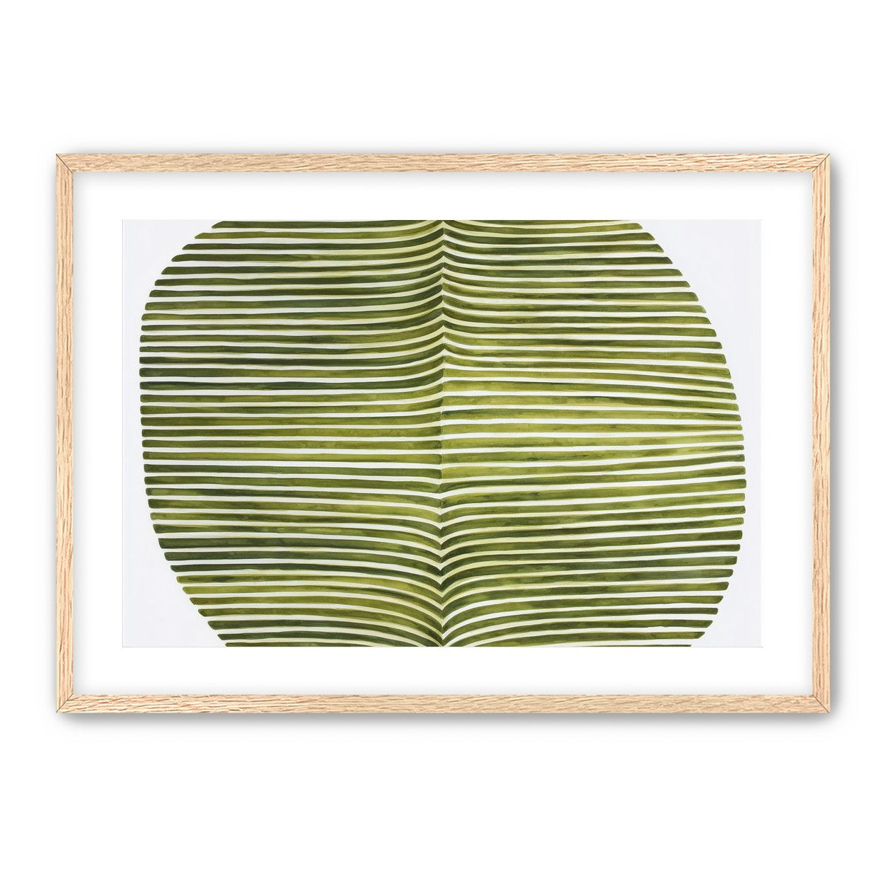 Dark green stripes crease inward