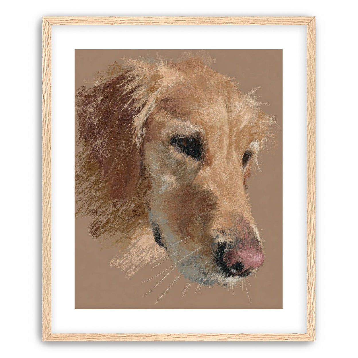 Warm browns on a golden retriever