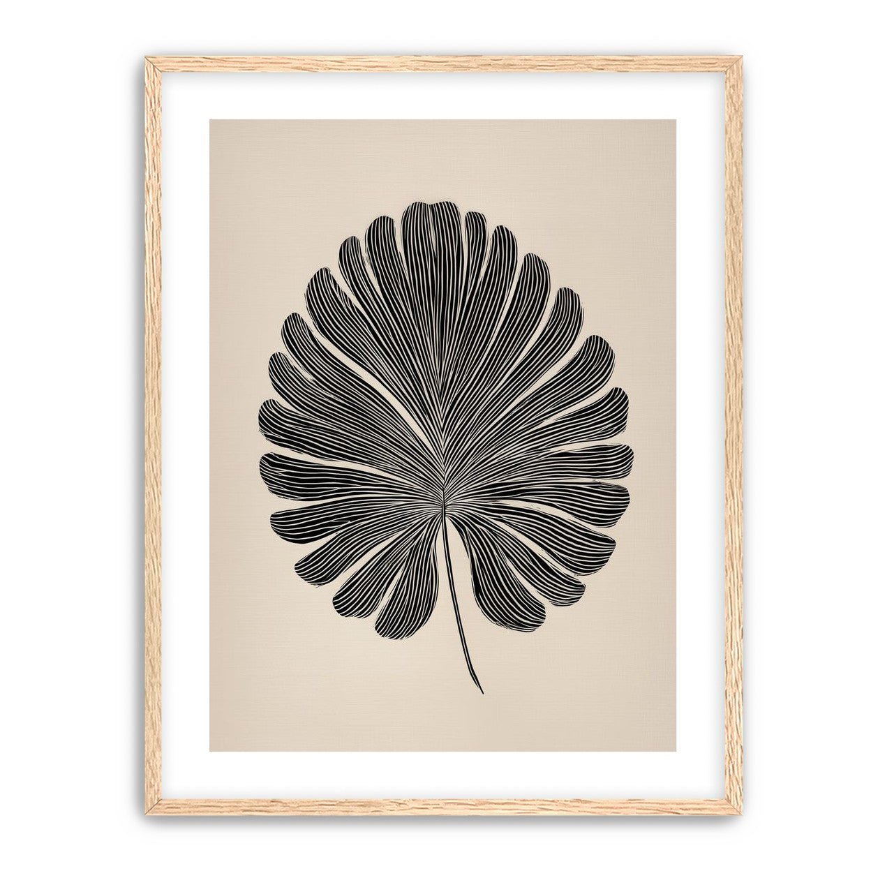 Striped fan leaf alone