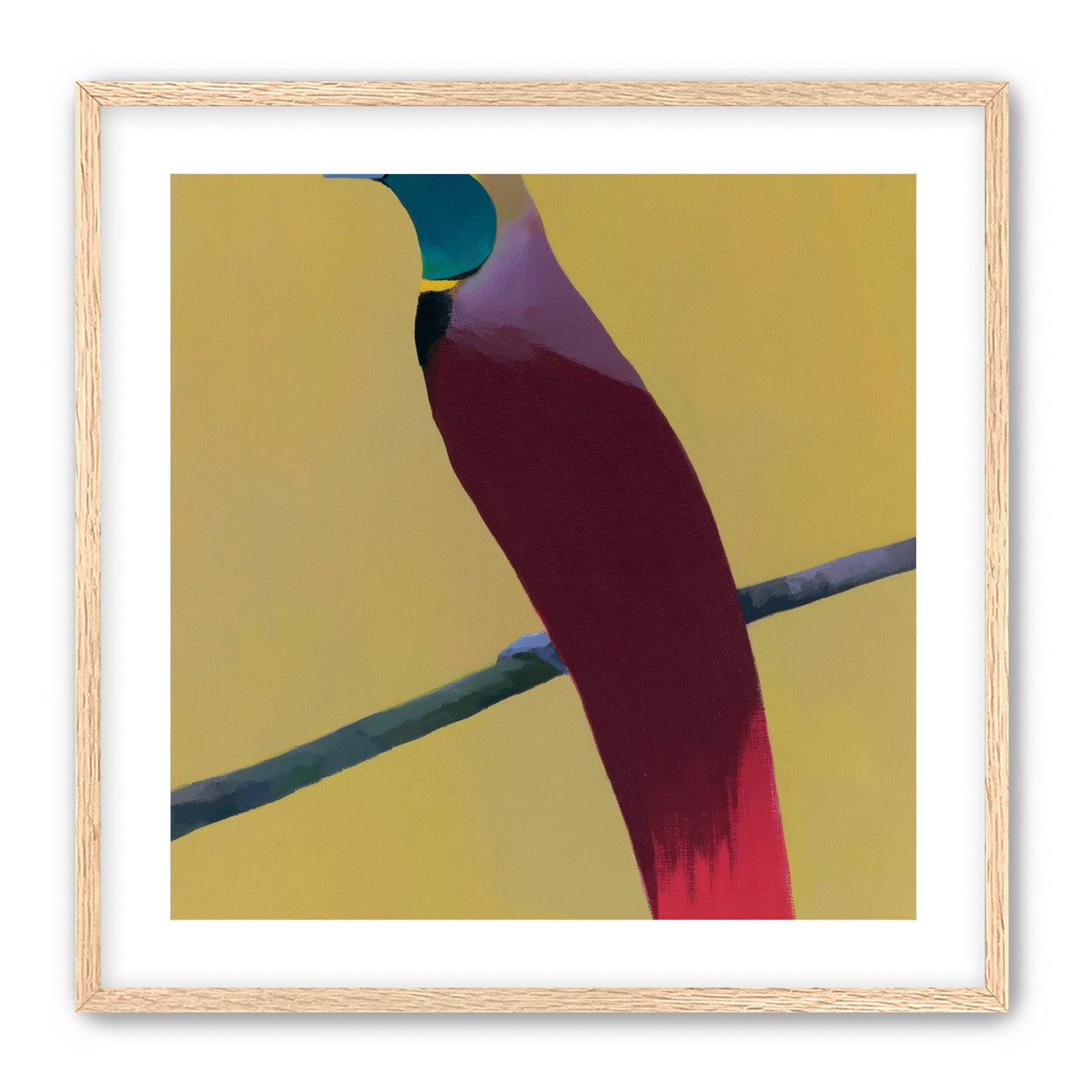 A bright bird on yellow