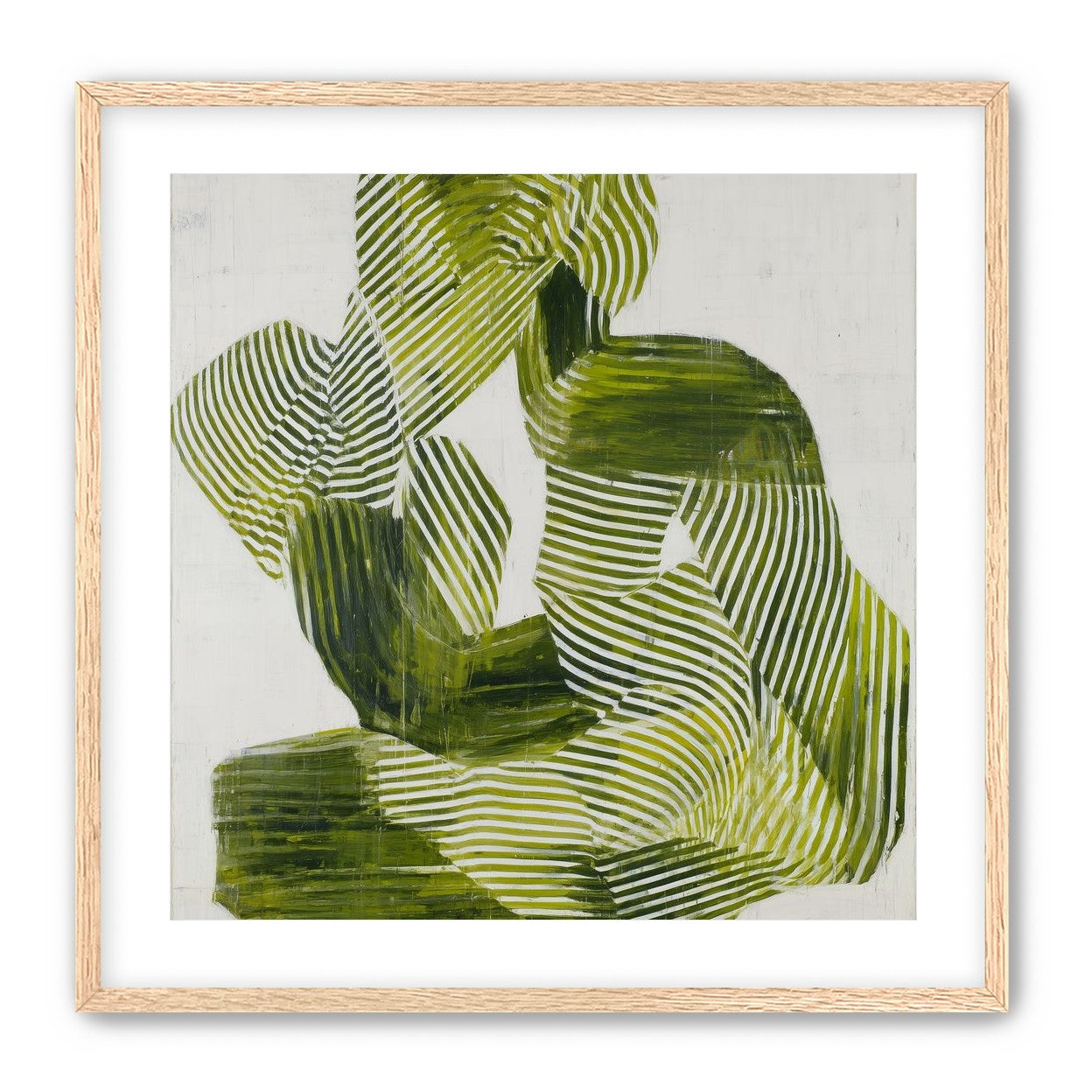 Olive stripes in repose