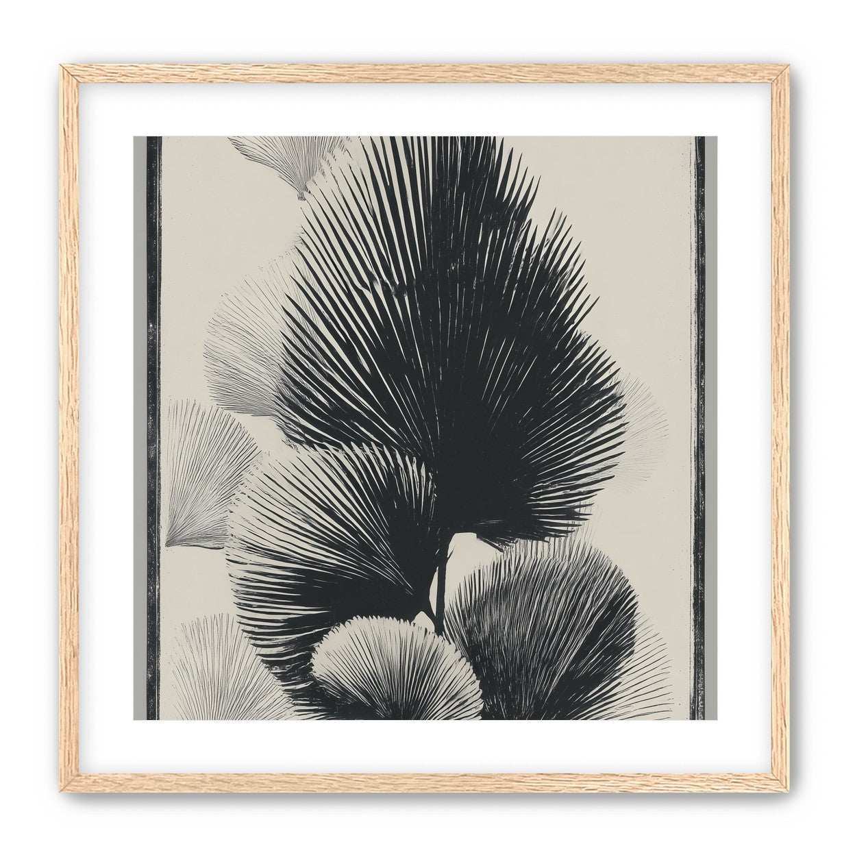 Fan fronds in ink shadow