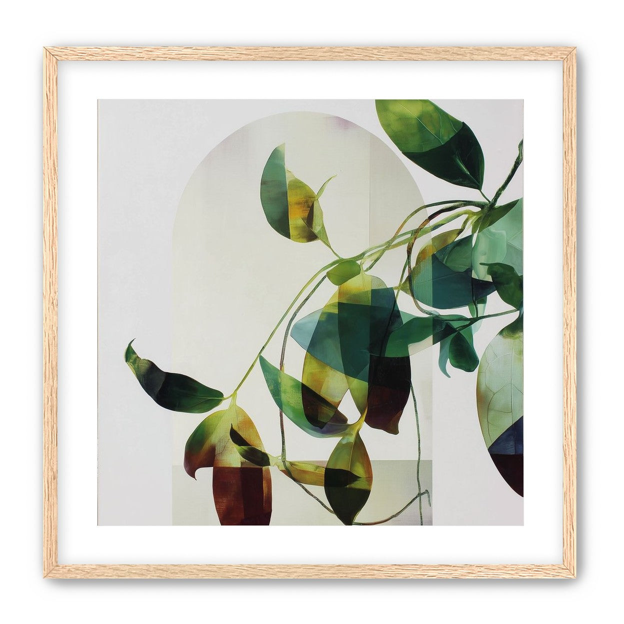 Leaves in a pale halo