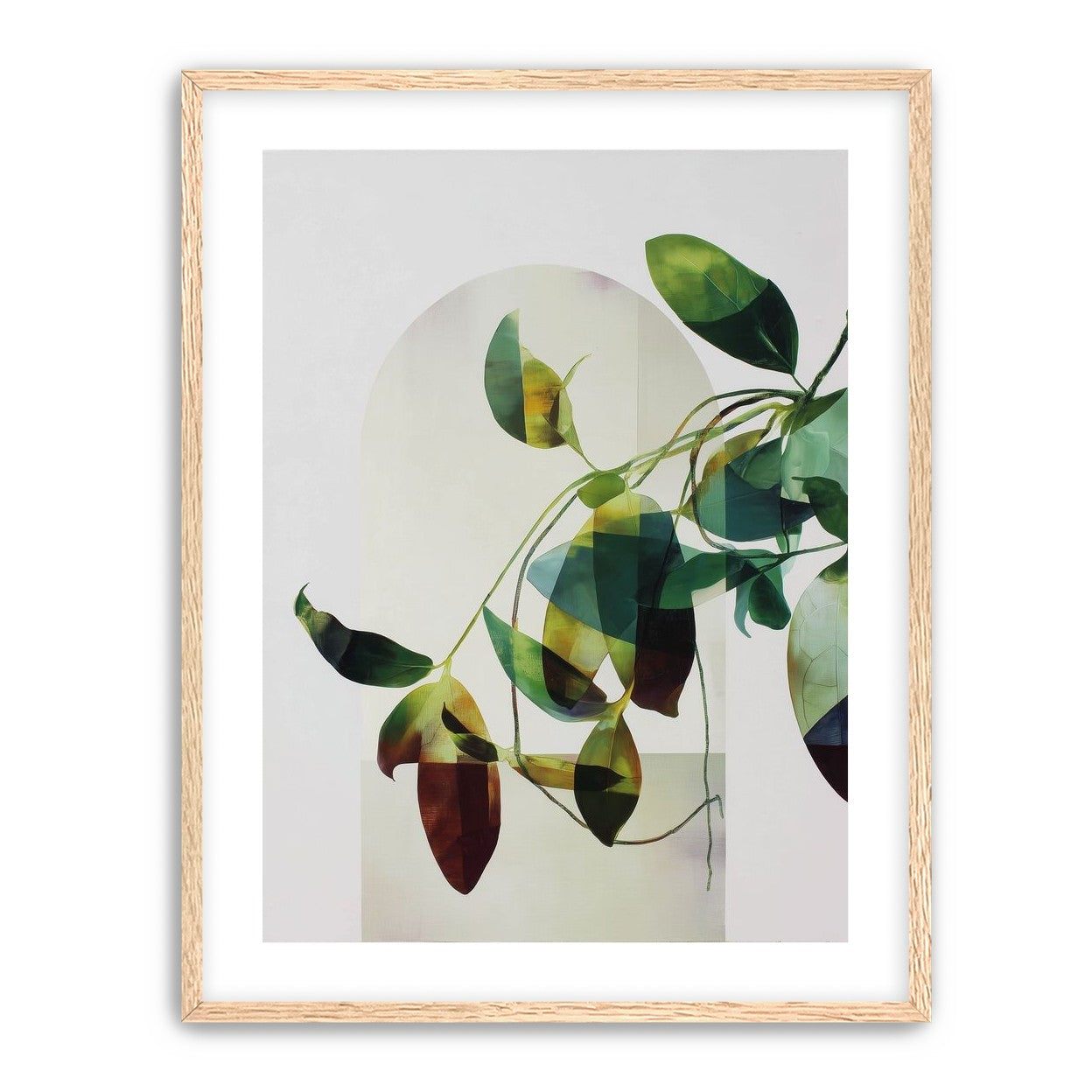Leaves in a pale halo