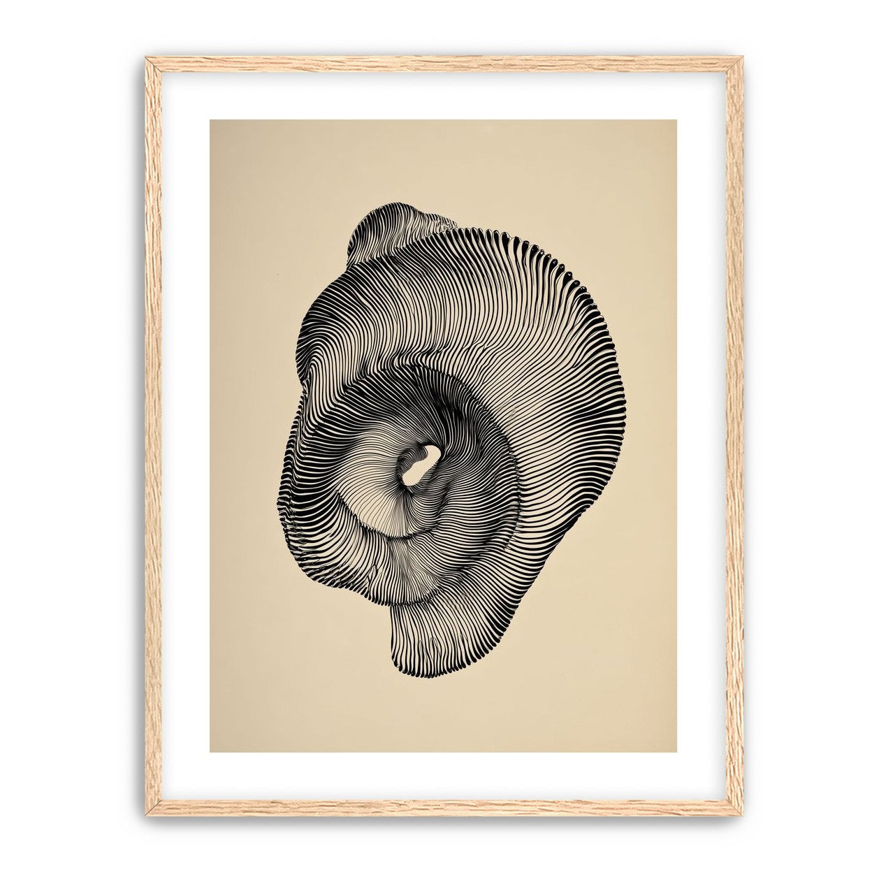 A hollow within black lines