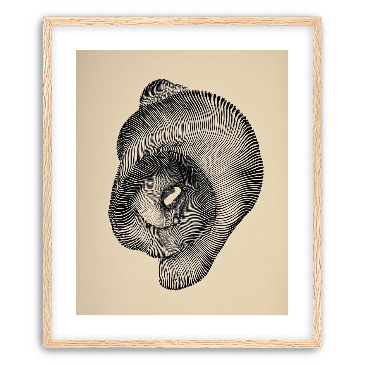 A hollow within black lines
