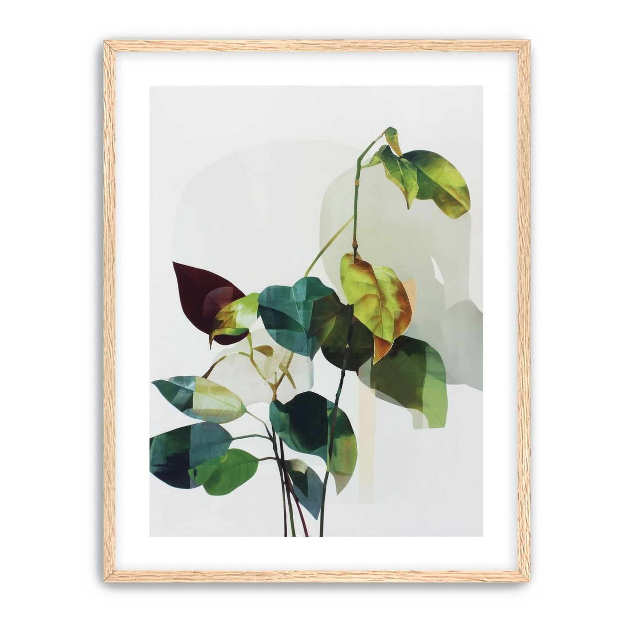 Leaves within pale shadows