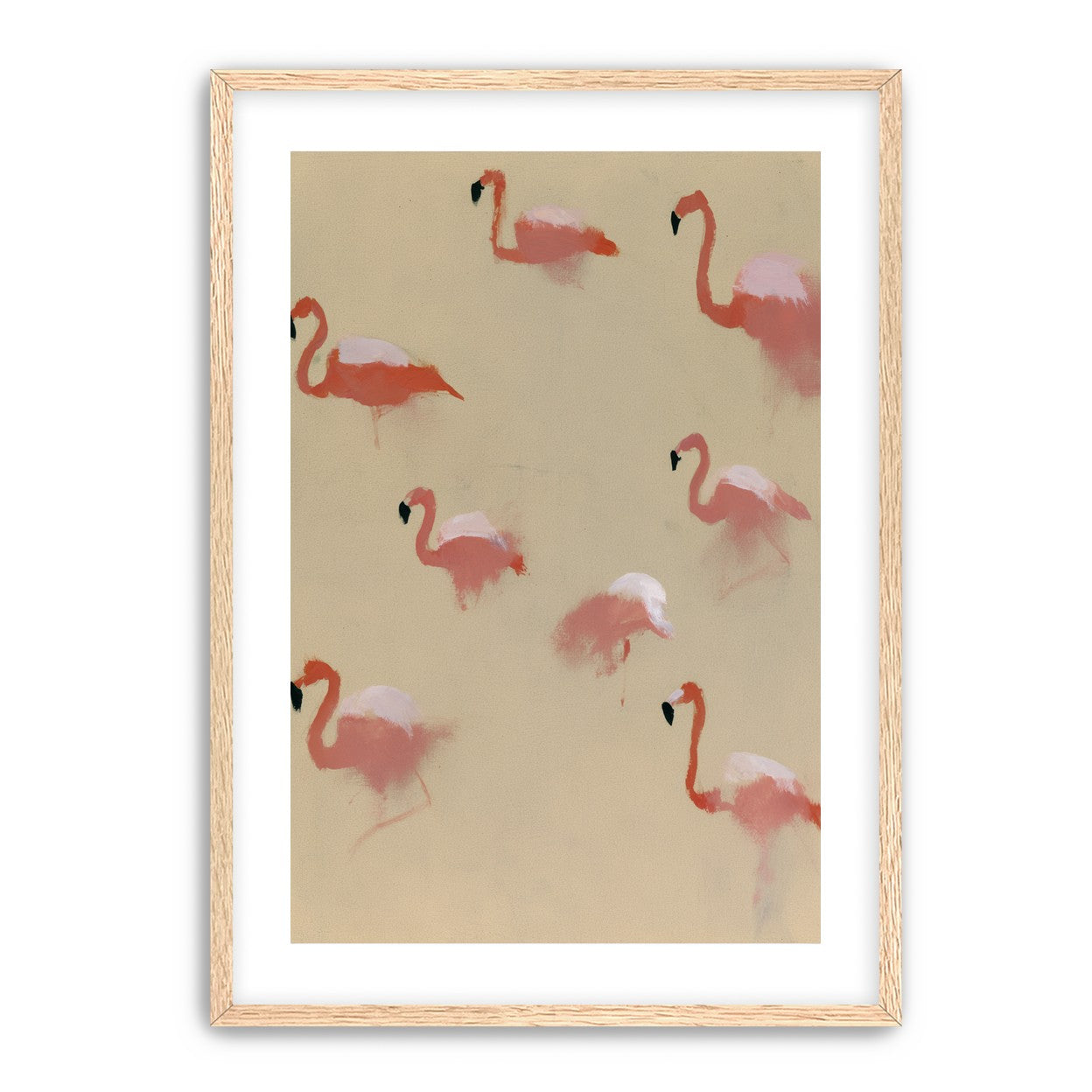 Flamingos in quiet drift
