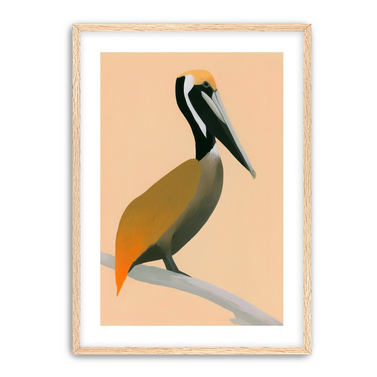 Pelican in peach light