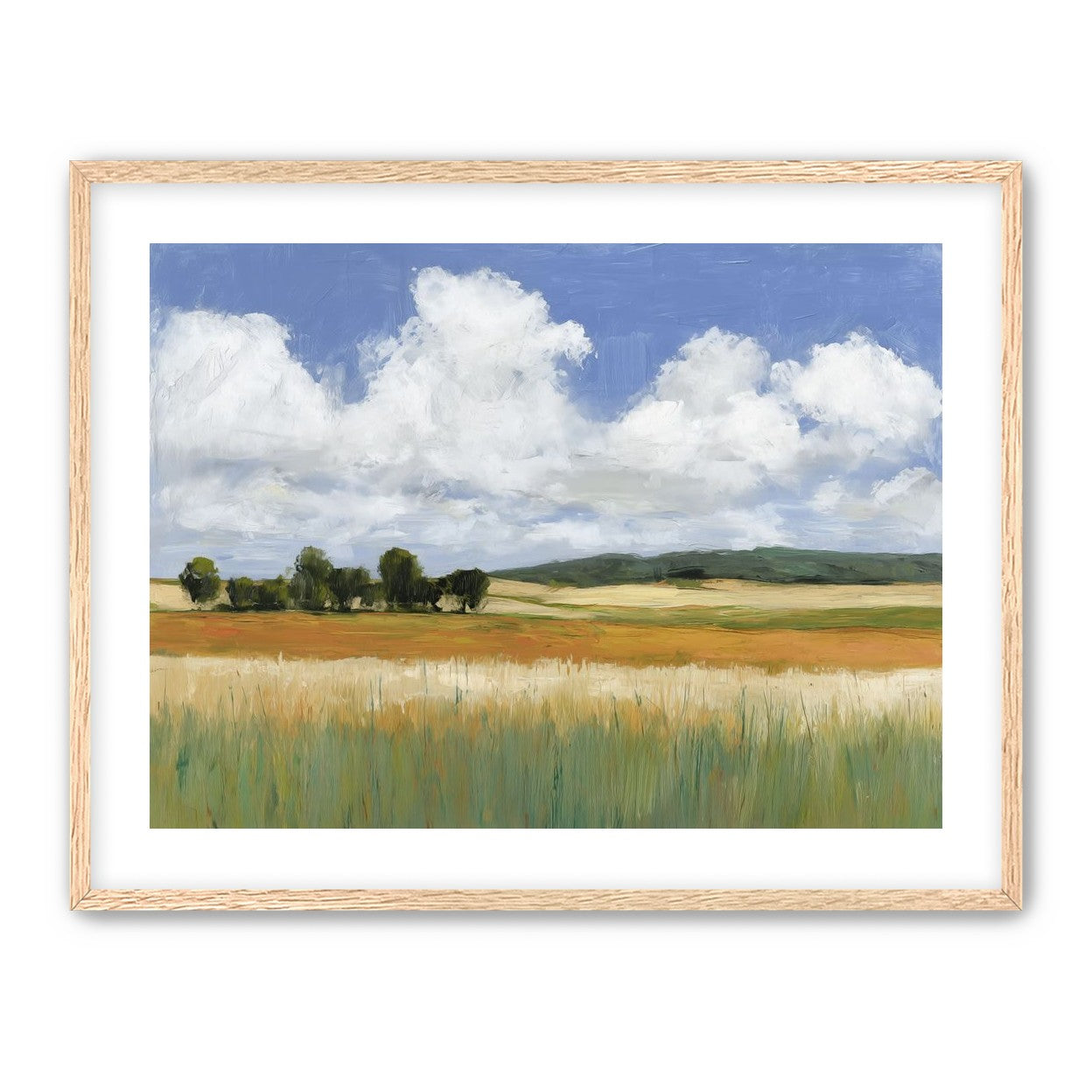 Meadow Under Clouds