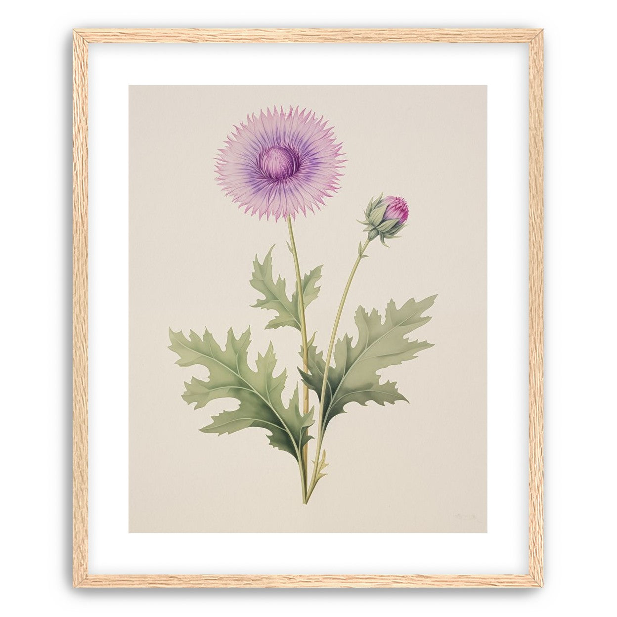 Lavender Radiance