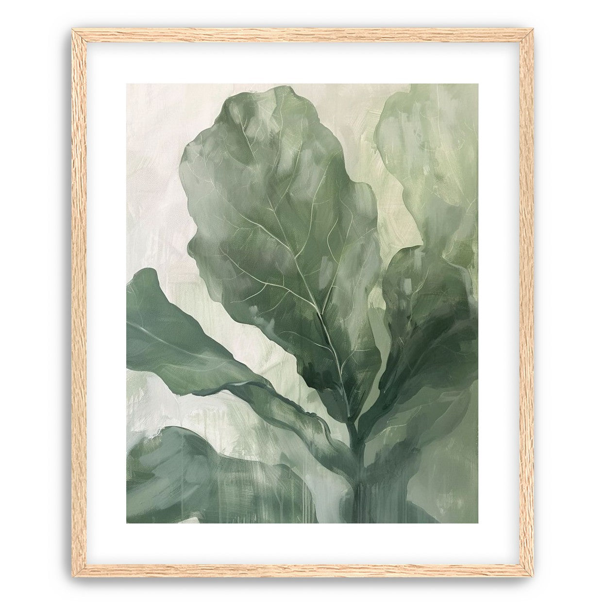 Sage leaves in pale light