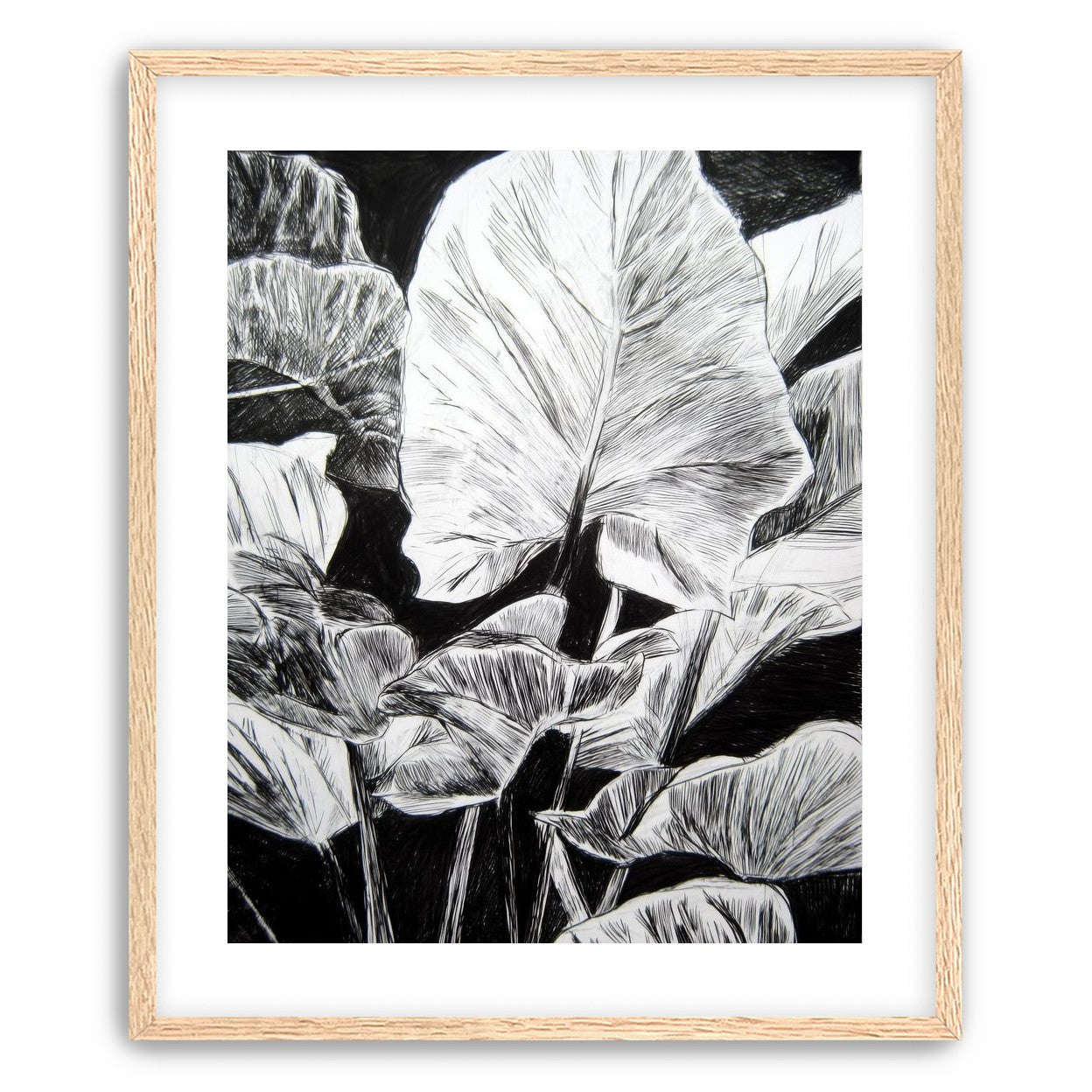 A Cluster of Leaves