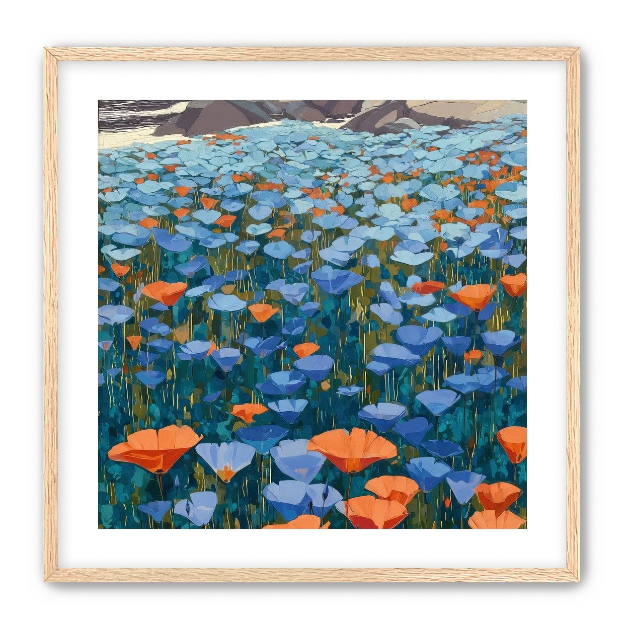 California Poppies