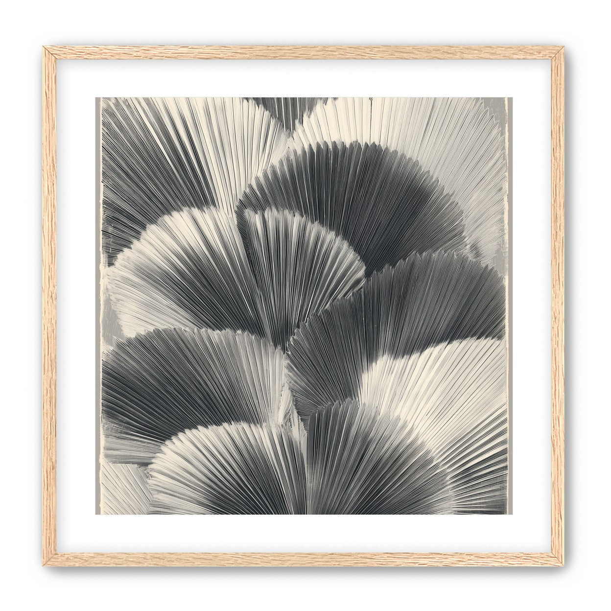 Ginkgo leaves in shadow