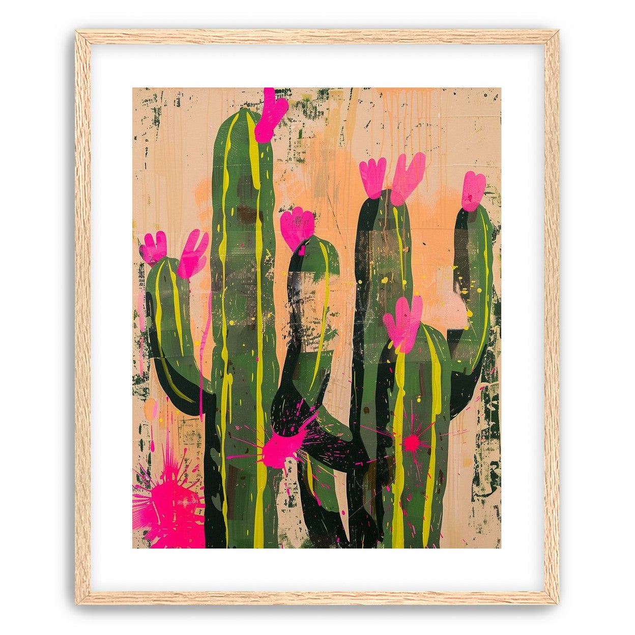 Pink blooms on cacti