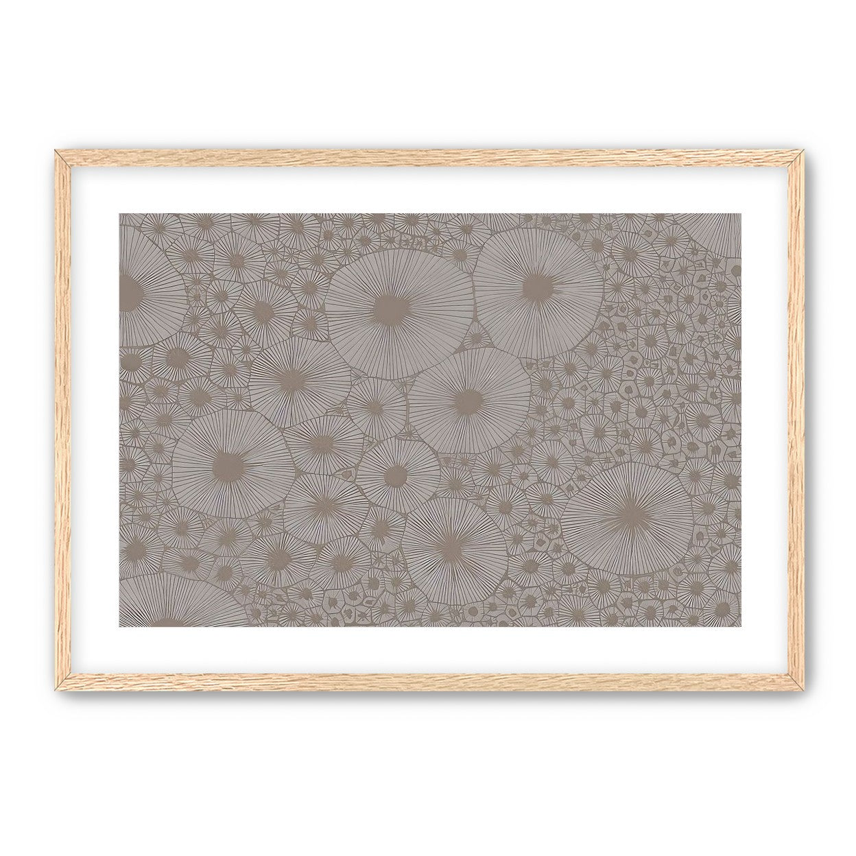 Bold Coral