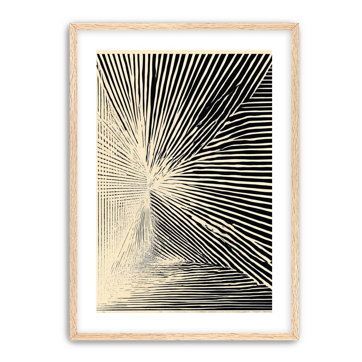 Convergence within black stripes