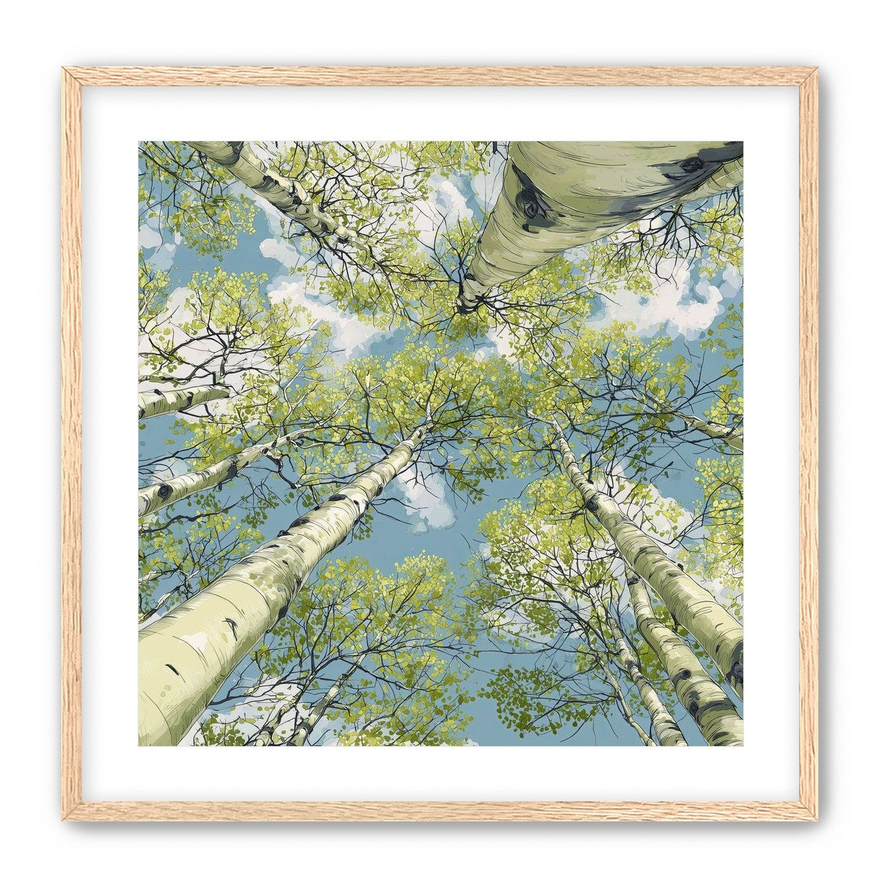 Aspen Canopy I