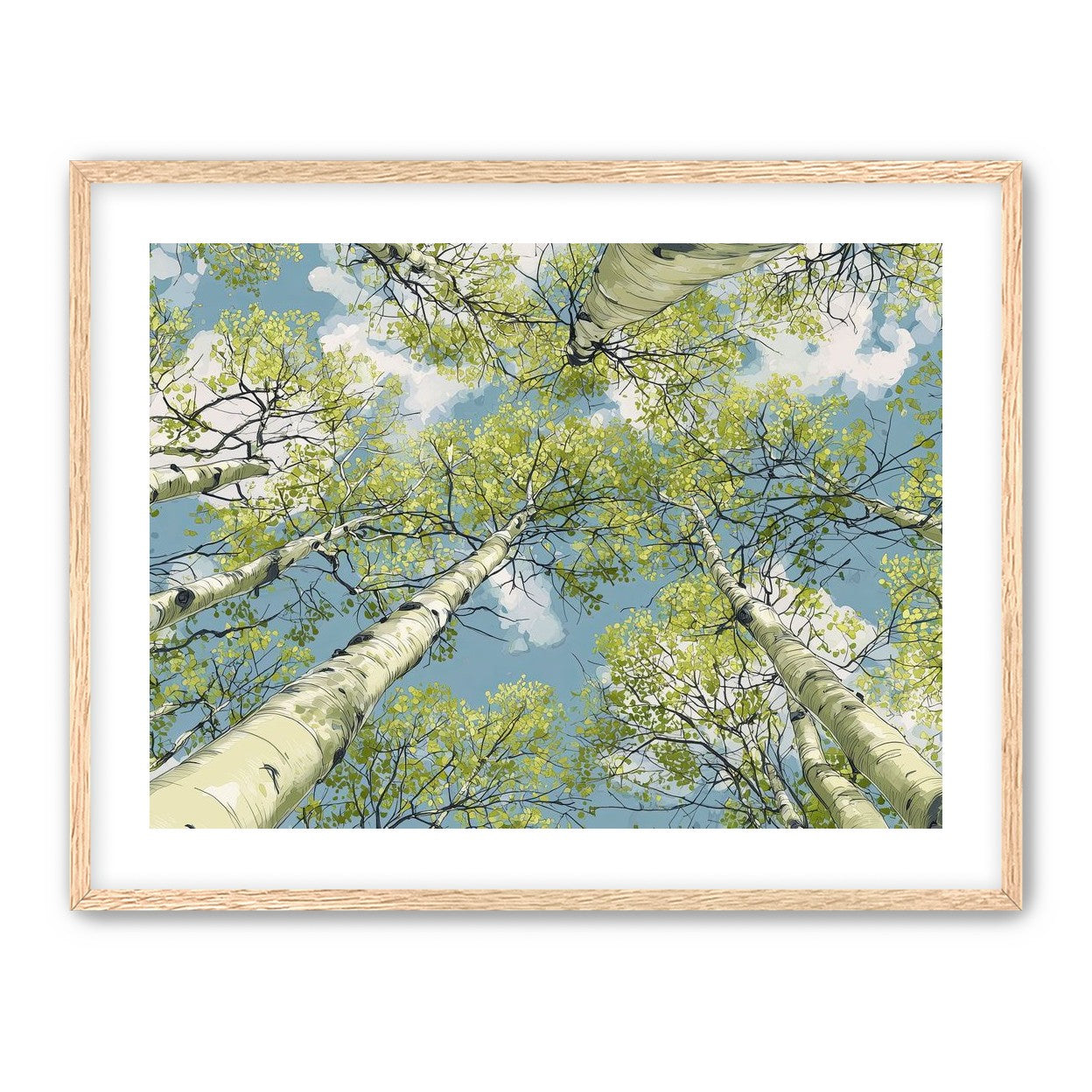 Aspen Canopy I