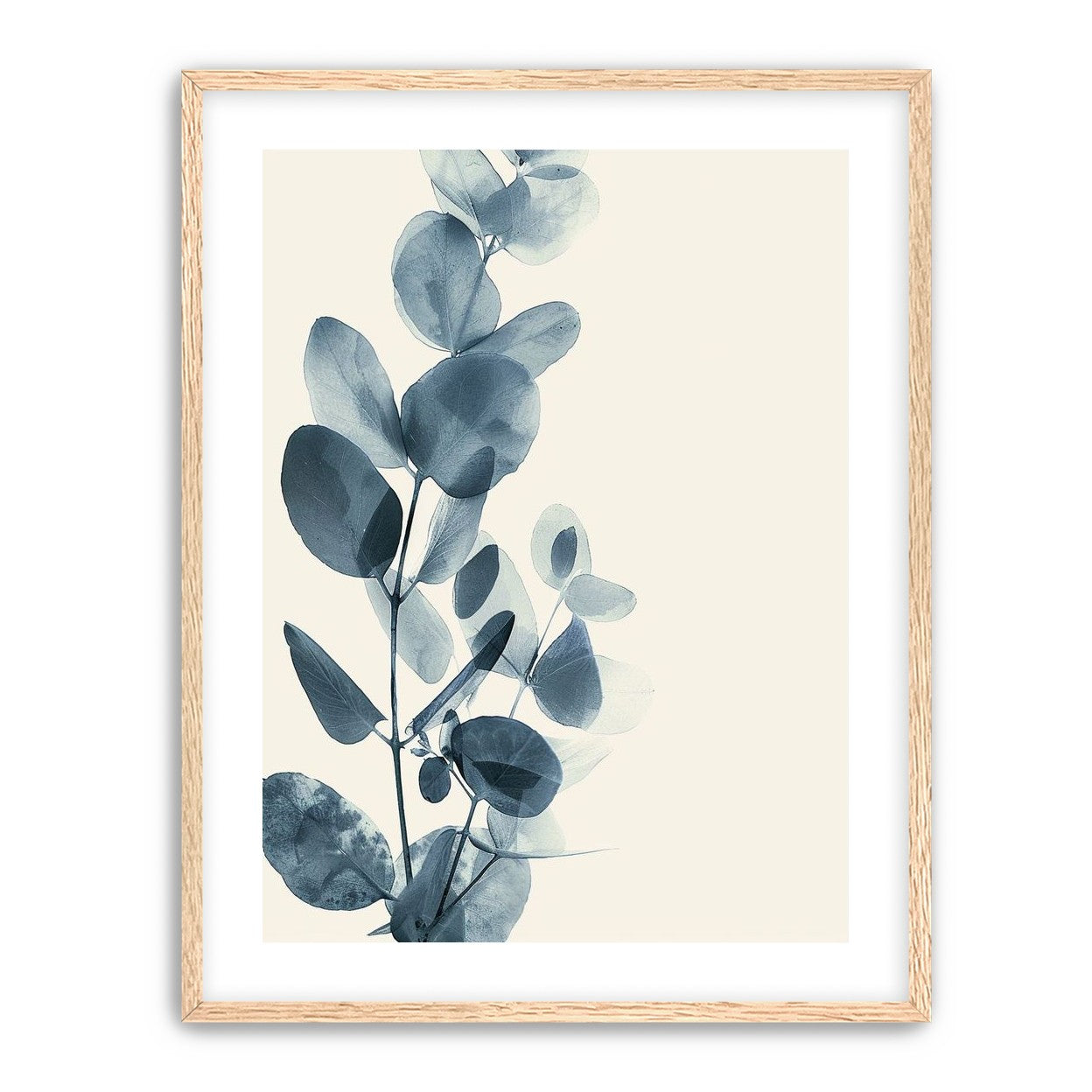 Eucalyptus in quiet blue