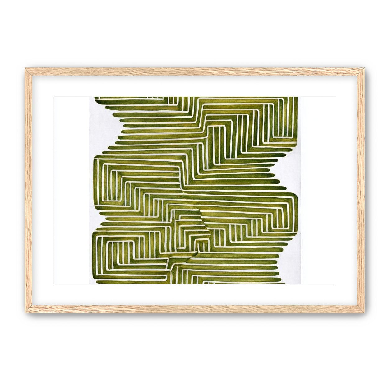 Olive bands in white quiet