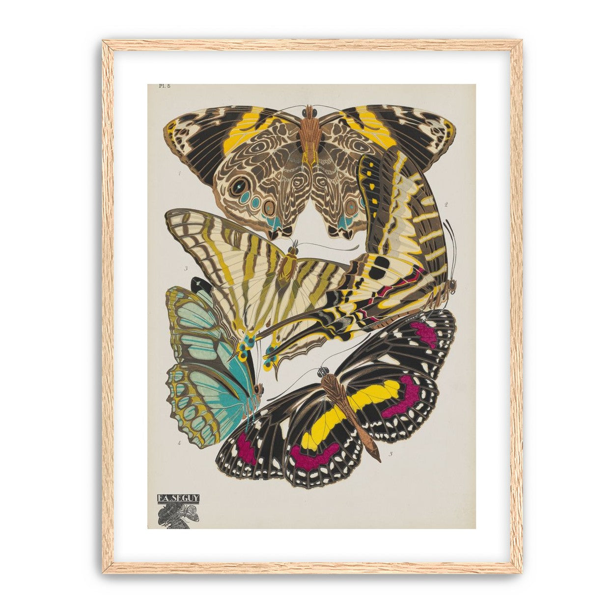 Butterflies among blank paper