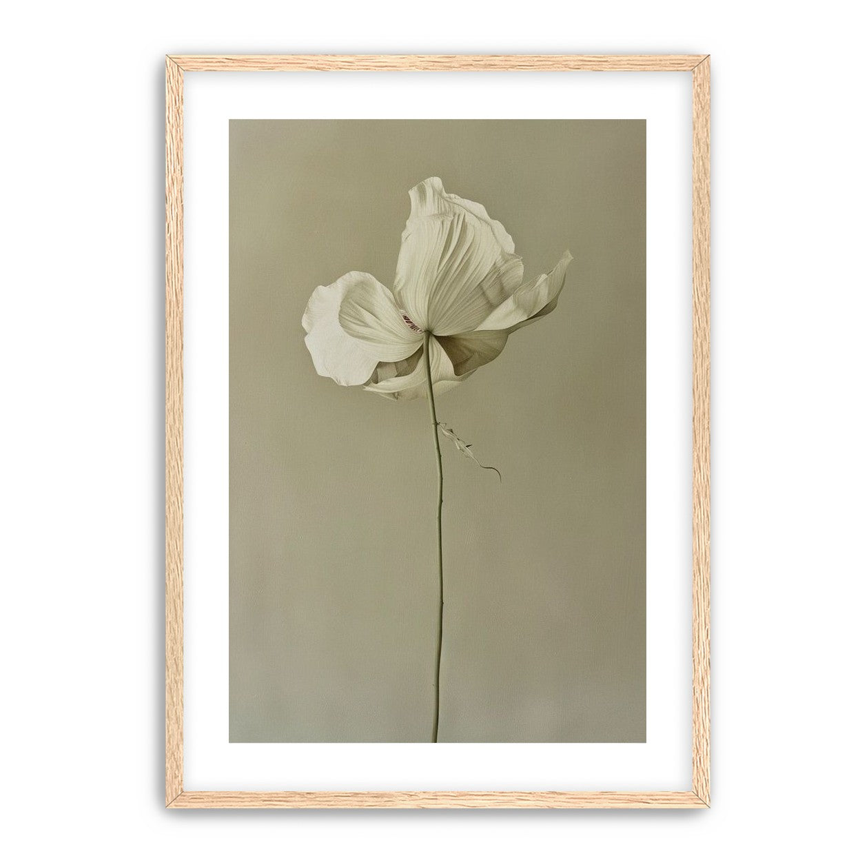 Ivory bloom in gray air
