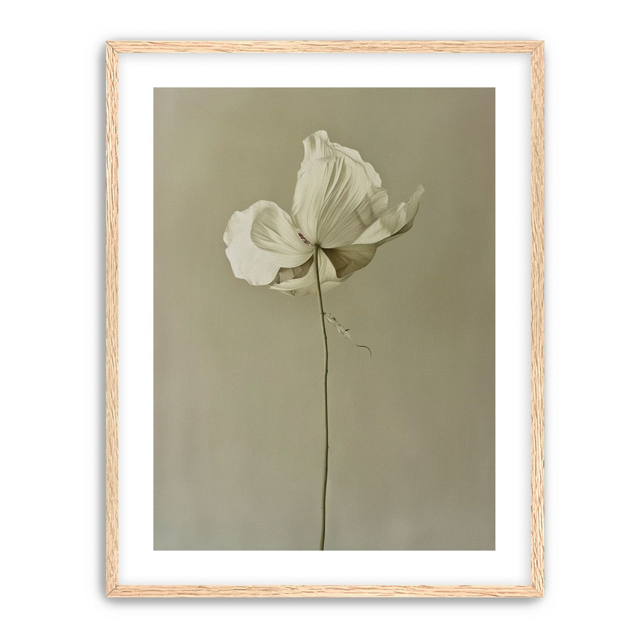 Ivory bloom in gray air
