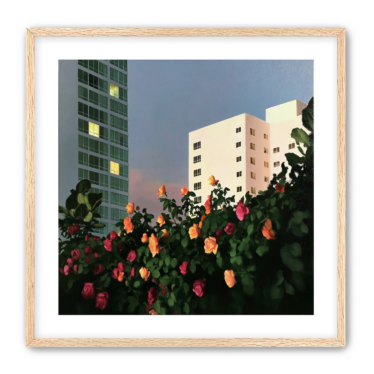 Roses below lit windows