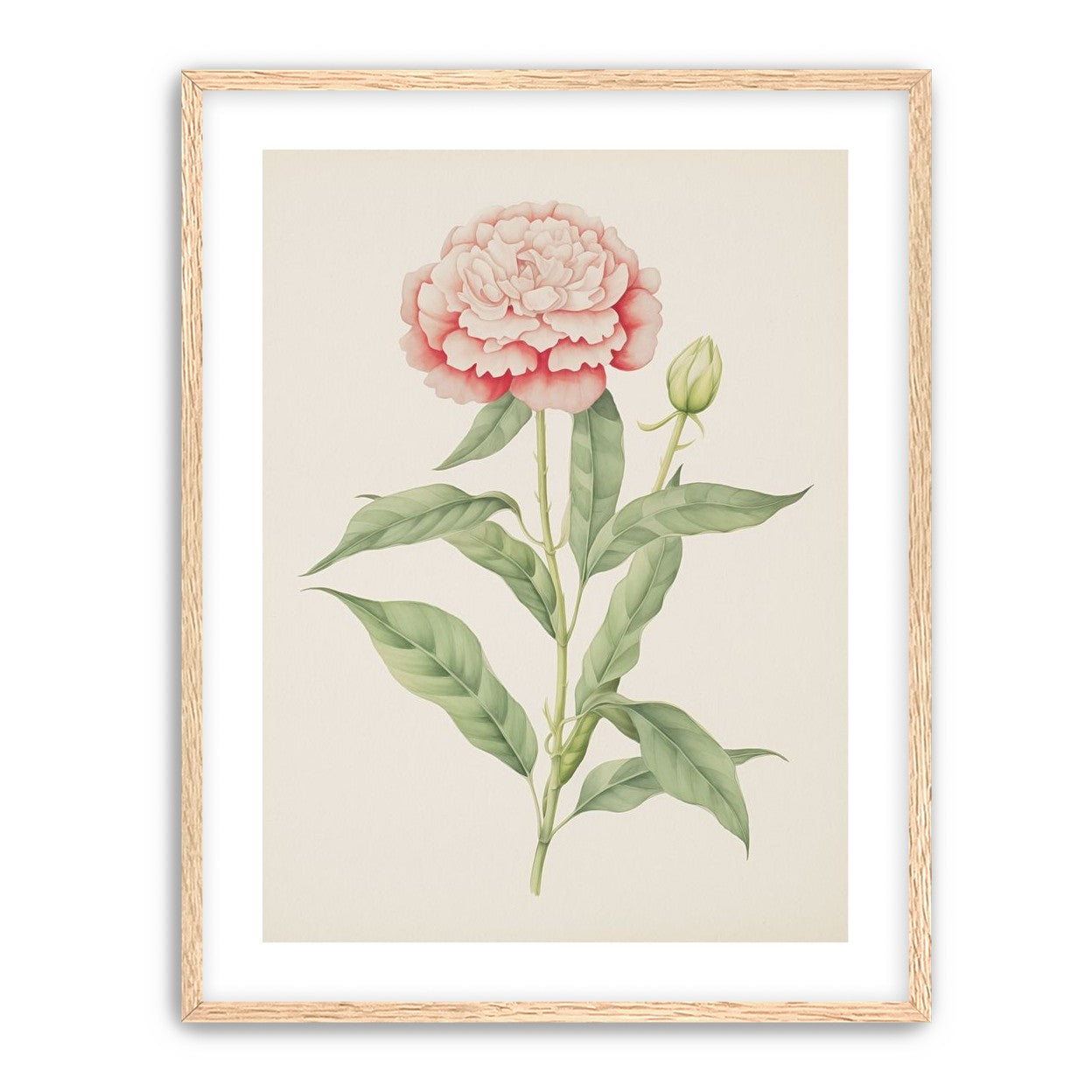 Delicate Blush