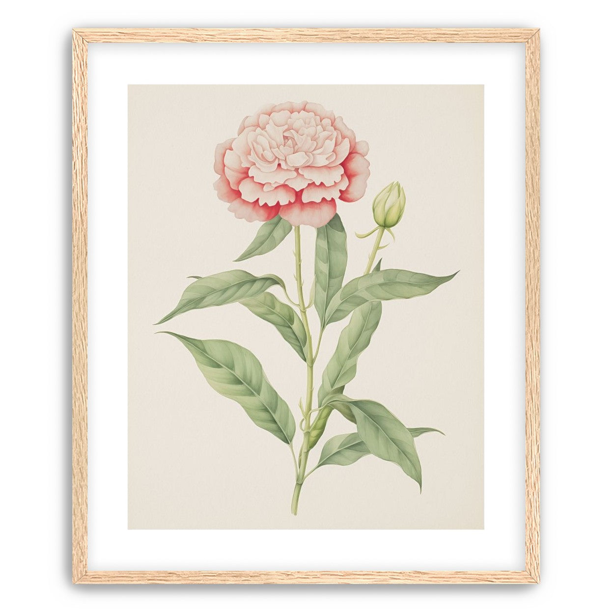 Delicate Blush