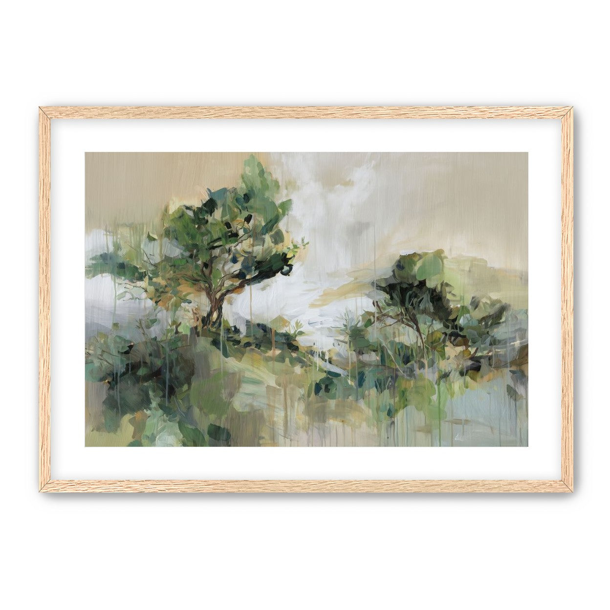 Tree Canopies in Pale Light