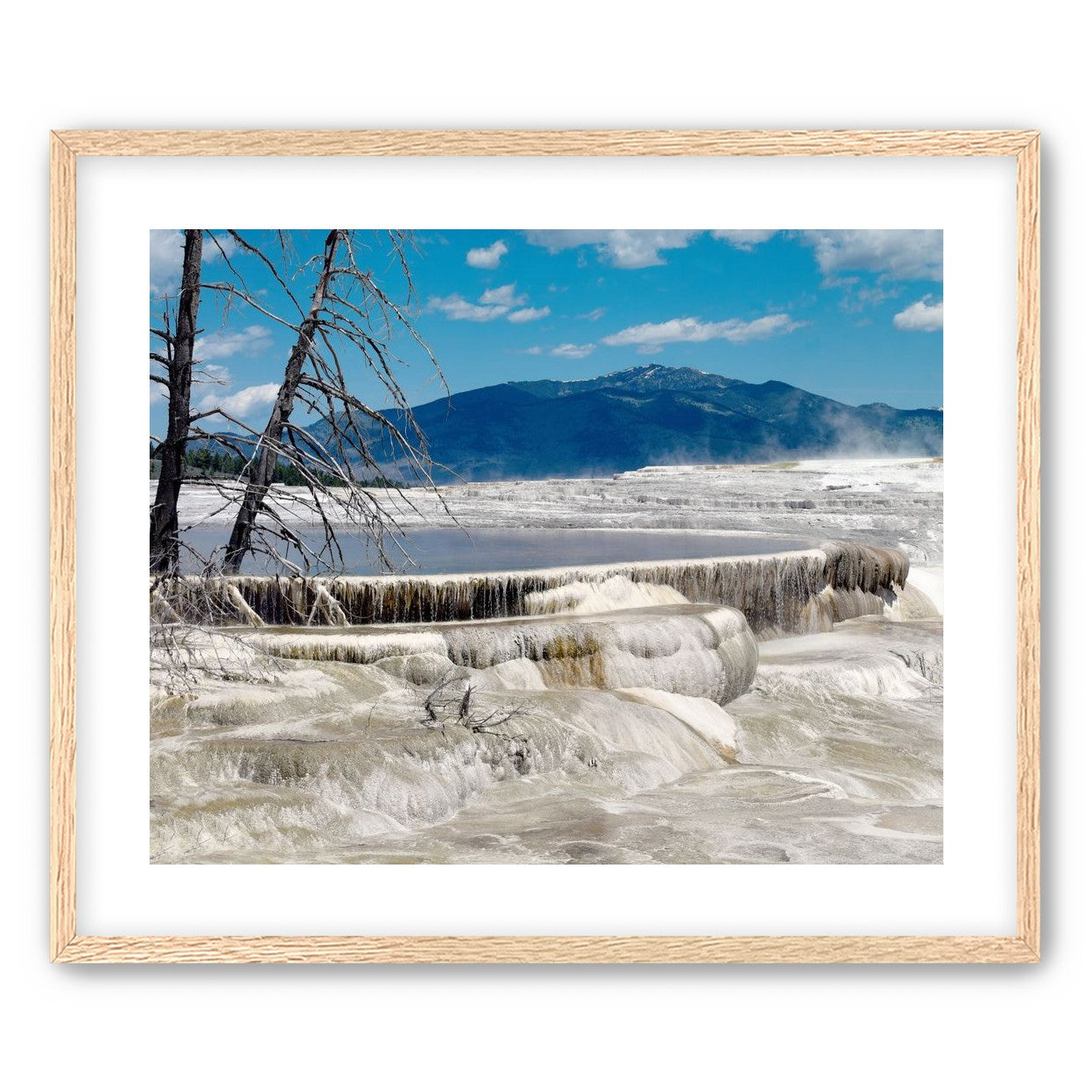 Mammoth Hot Springs