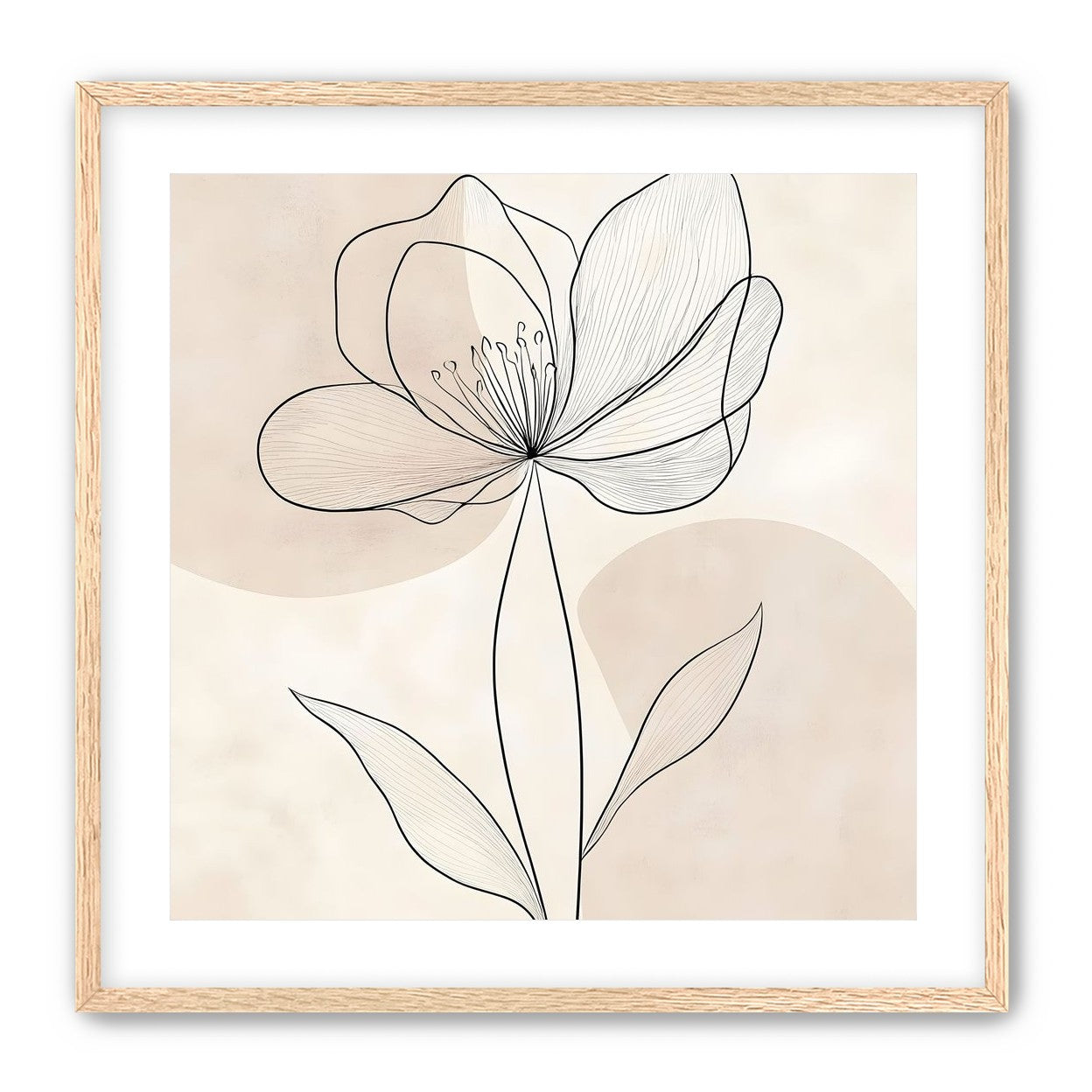 Single Bloom