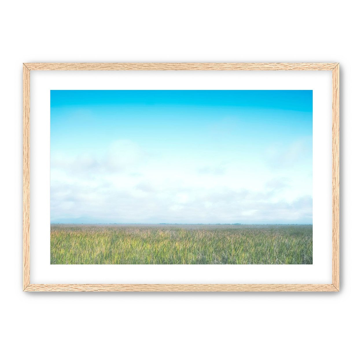 Grasslands