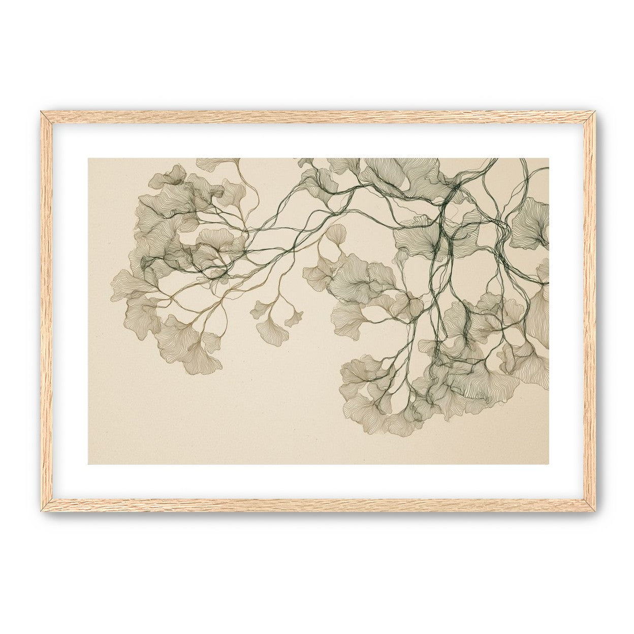Open Canopies in Ink