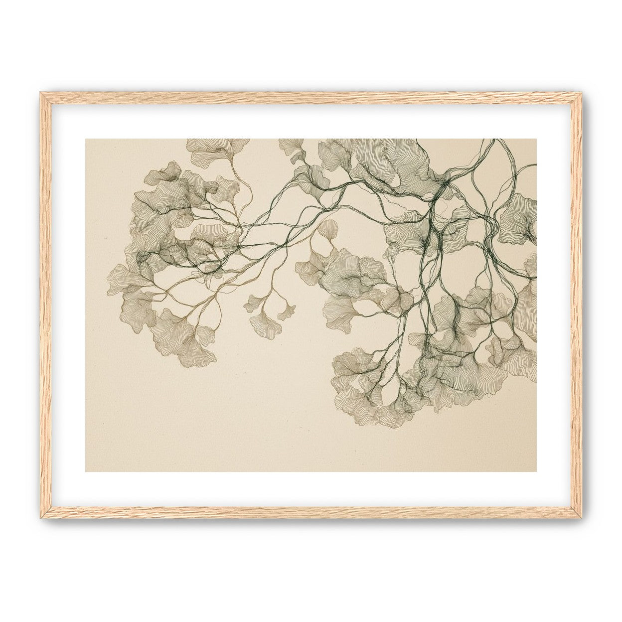 Open Canopies in Ink