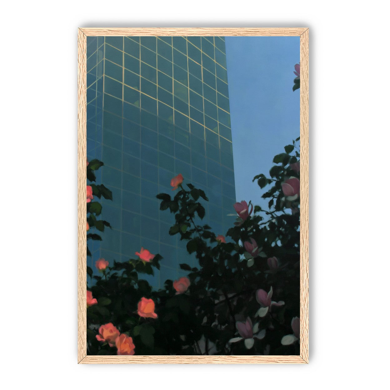 Roses beneath blue towers