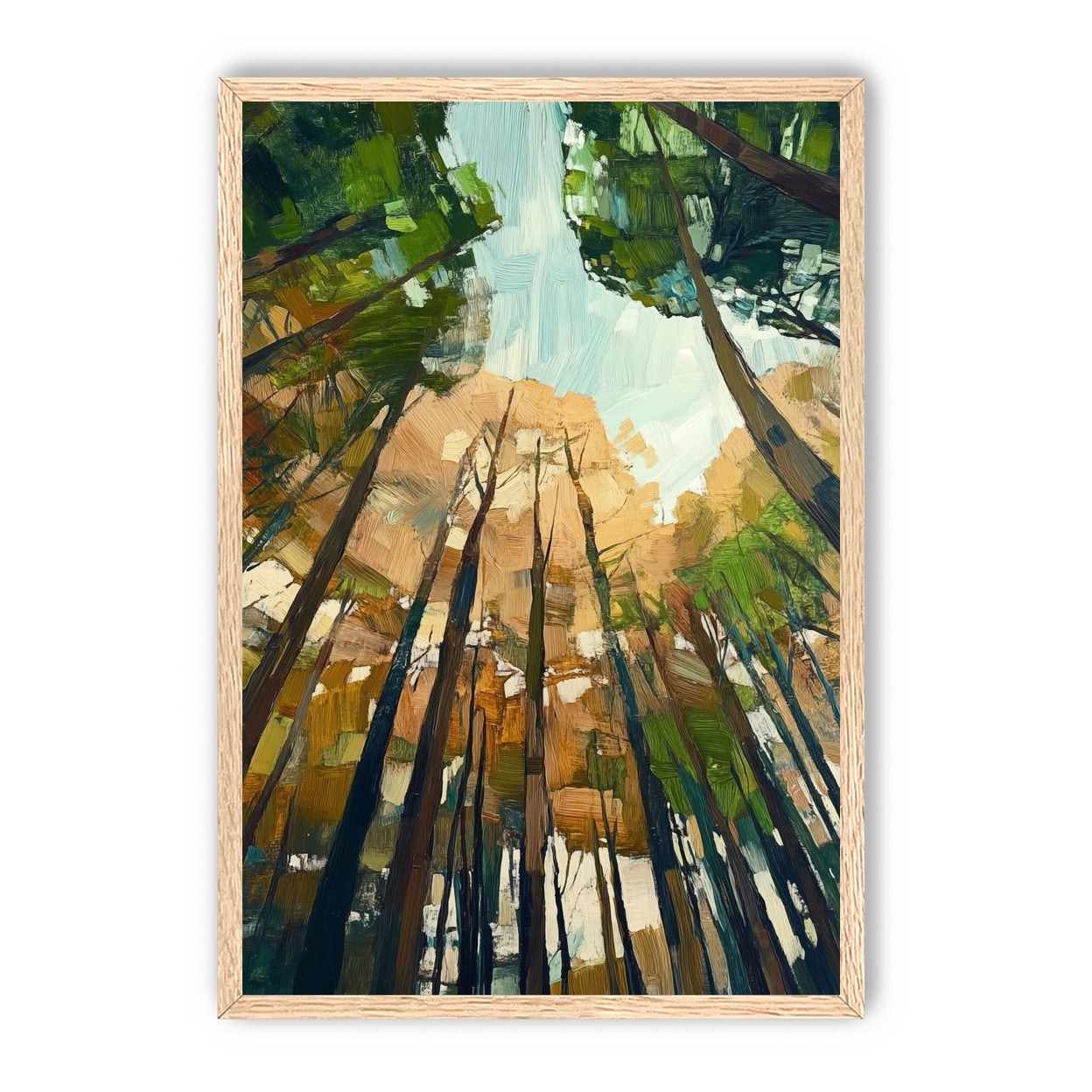 Canopy Lightfall
