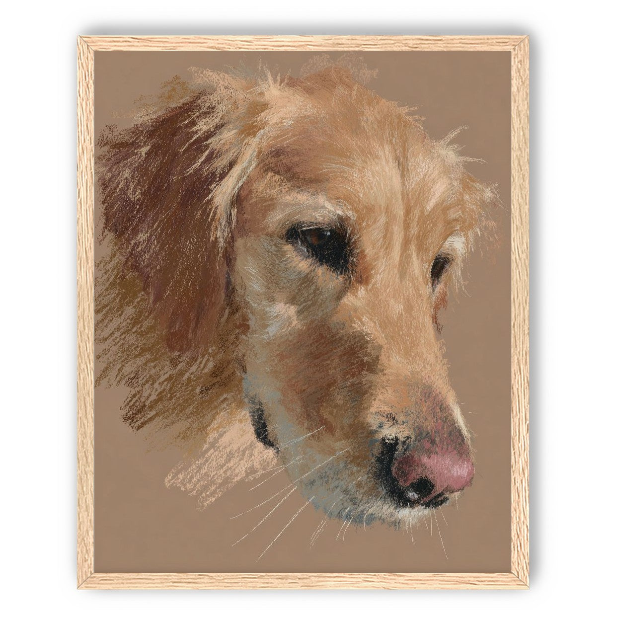 Warm browns on a golden retriever