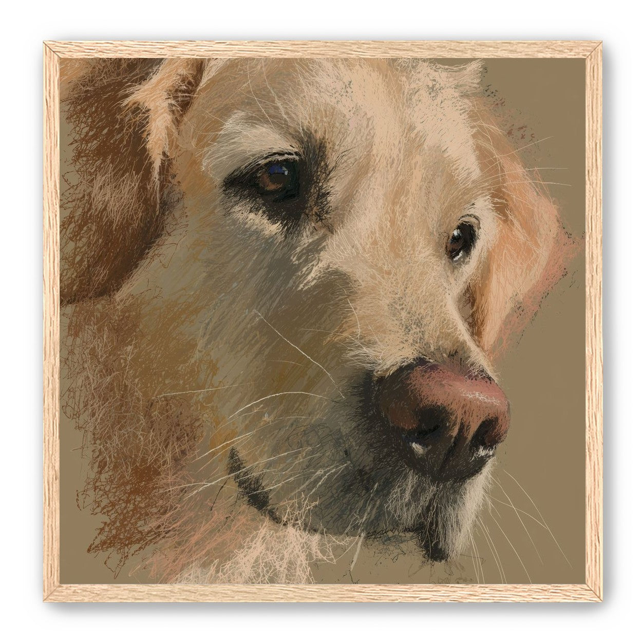 Warm fur in brown quietness