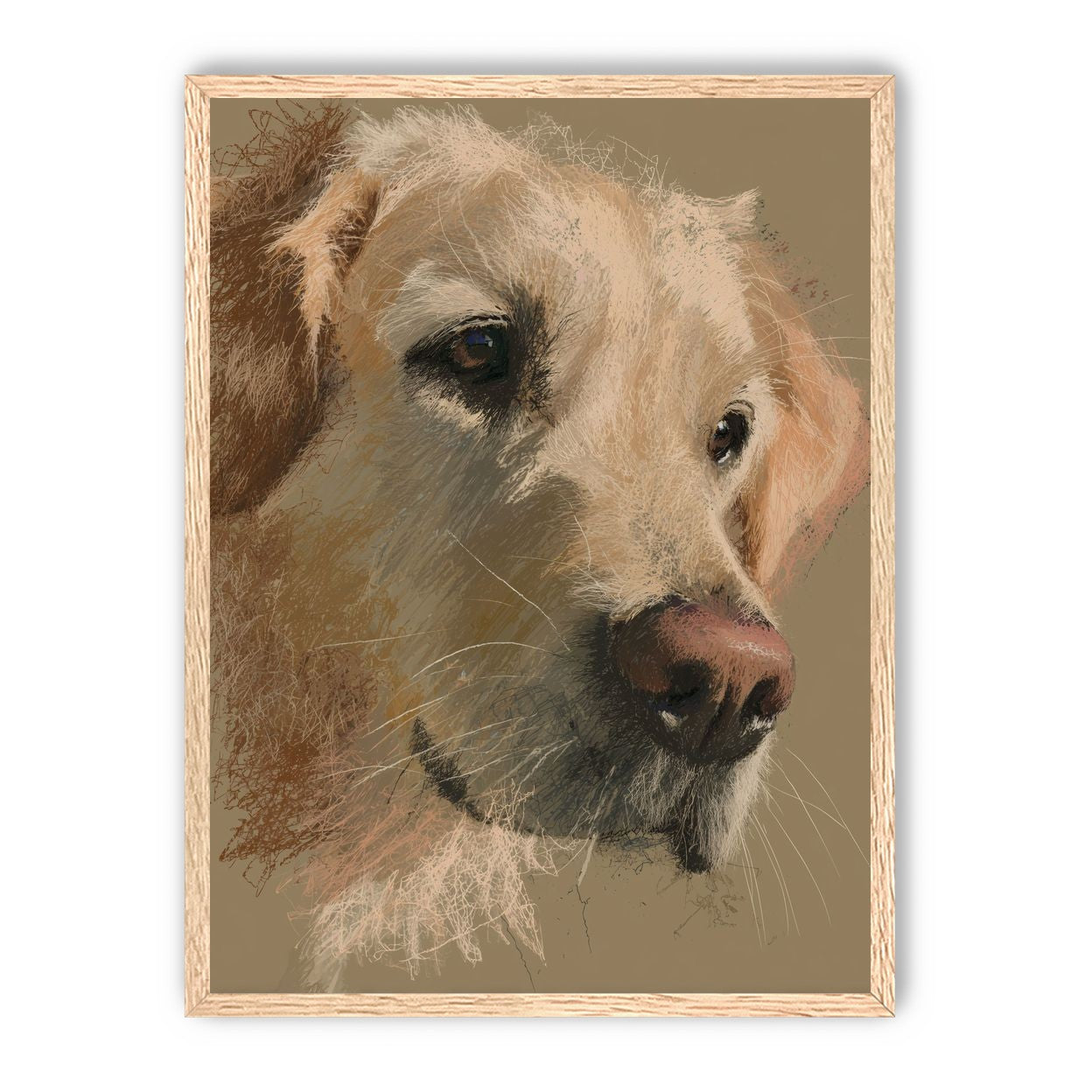 Warm fur in brown quietness