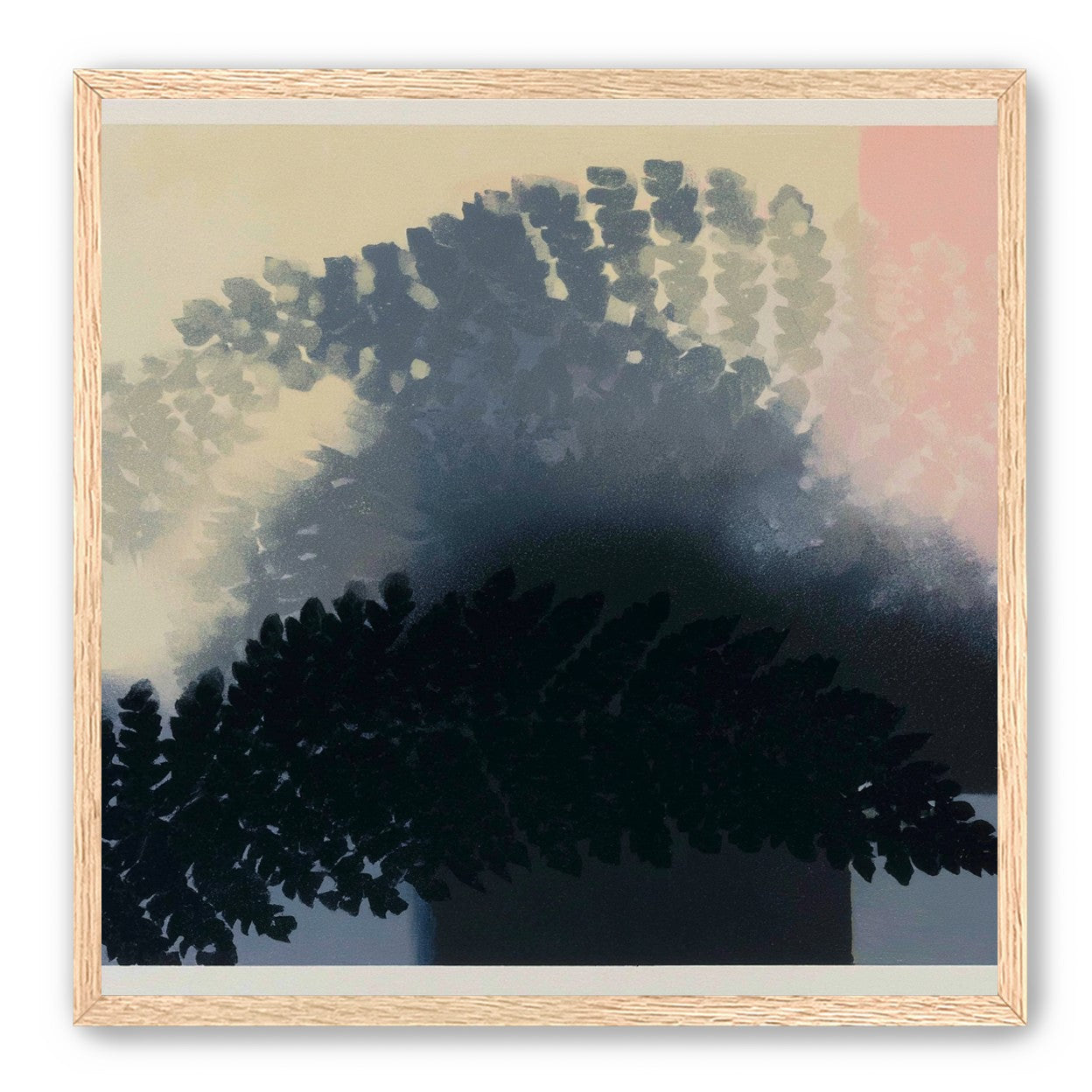 Tree shadow across the sky