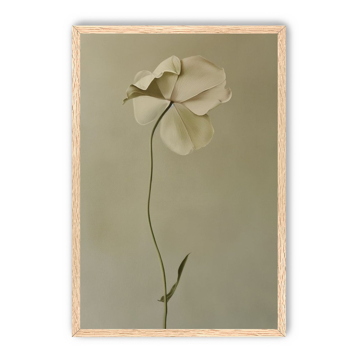 One flower leaning into quiet