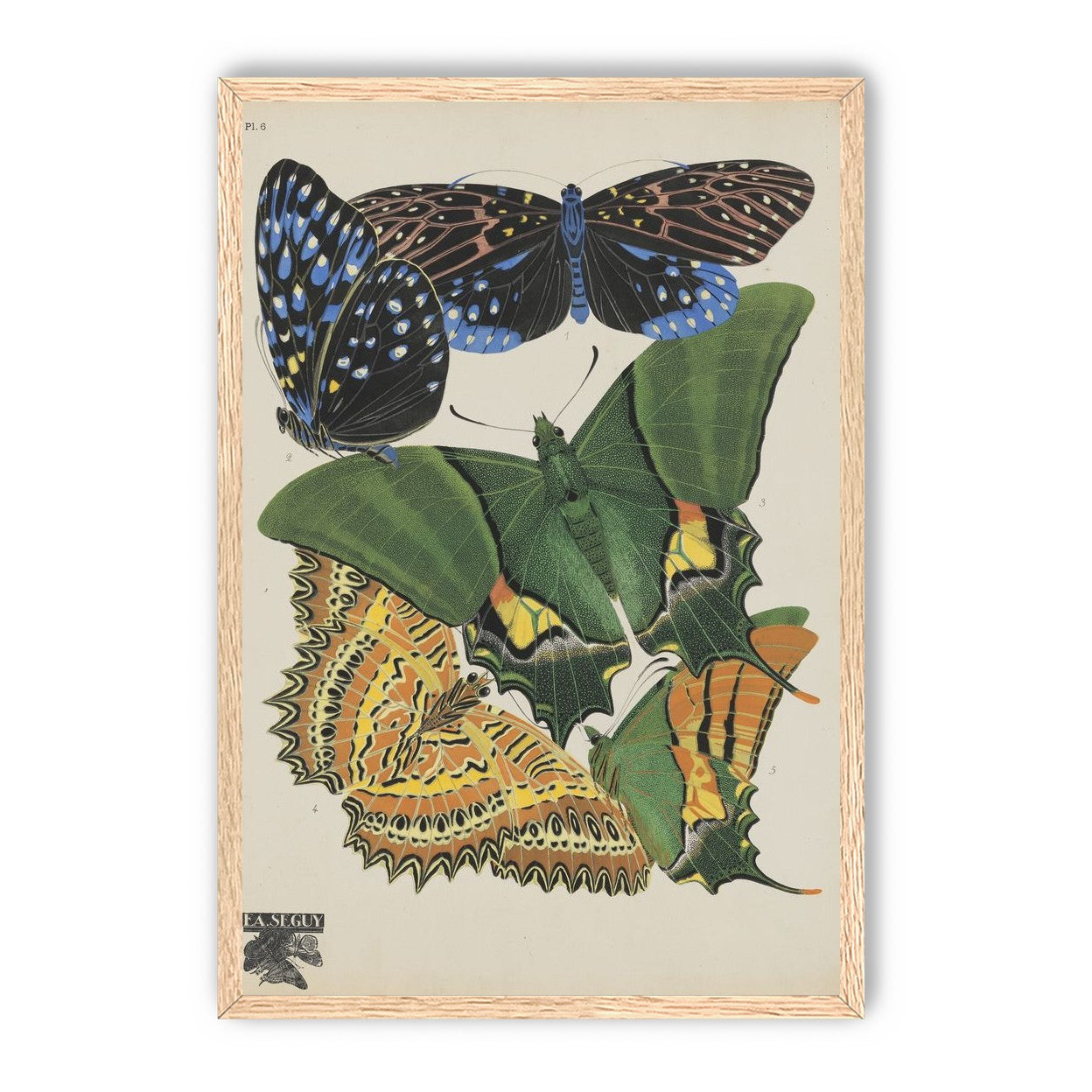 Butterflies on a pale plate