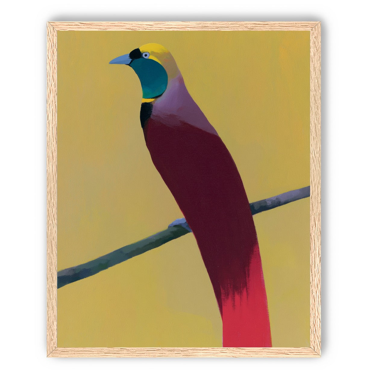 A bright bird on yellow