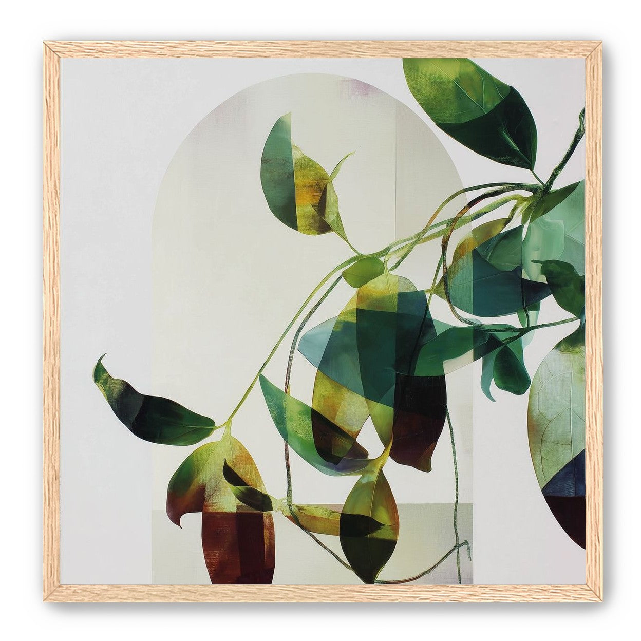 Leaves in a pale halo